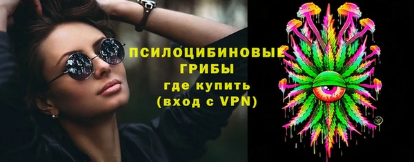 ПСИЛОЦИБИНОВЫЕ ГРИБЫ Пестово