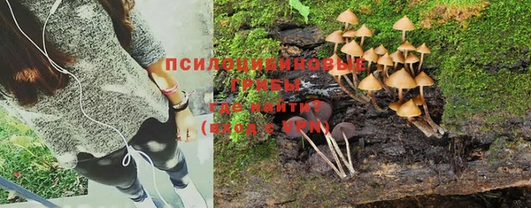 MESCALINE Пересвет
