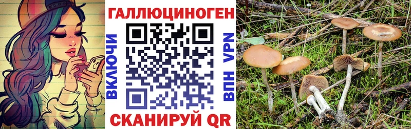 мориарти наркотические препараты  даркнет сайт  Ряжск  Псилоцибиновые грибы Psilocybine cubensis 